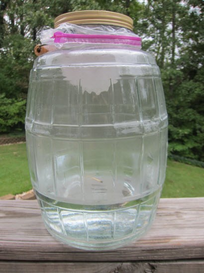 Hands-on Water Cycle Fun! Create a mini water cycle using a rotisserie chicken container and demonstrate cloud formation in a jar.