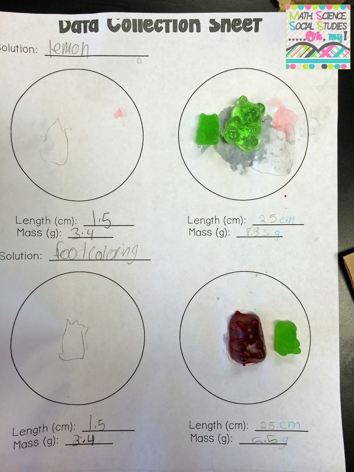 Investigating Gummy Bears