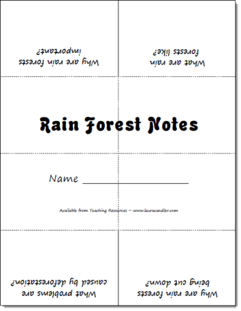 Rain Forest Foldable