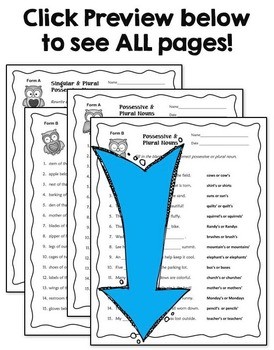Possessive and Plural Nouns Worksheets for Practice or Assessment